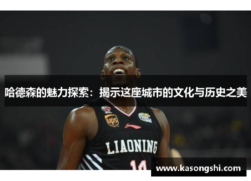 哈德森的魅力探索：揭示这座城市的文化与历史之美